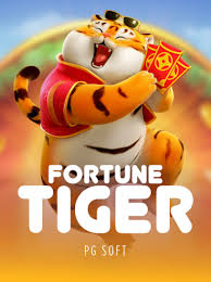 m pg nmga fortune tiger ícone